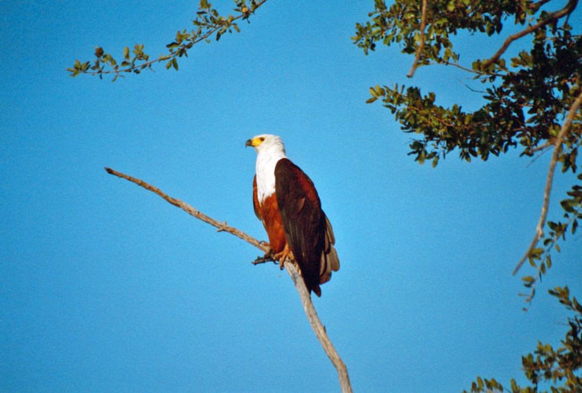 photograph by Cheryl Merrill