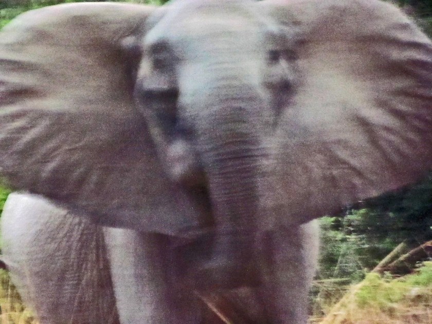 photograph by Cheryl Merrill