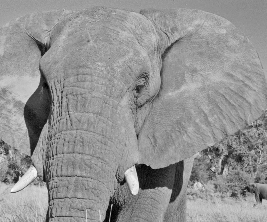 photograph by Cheryl Merrill