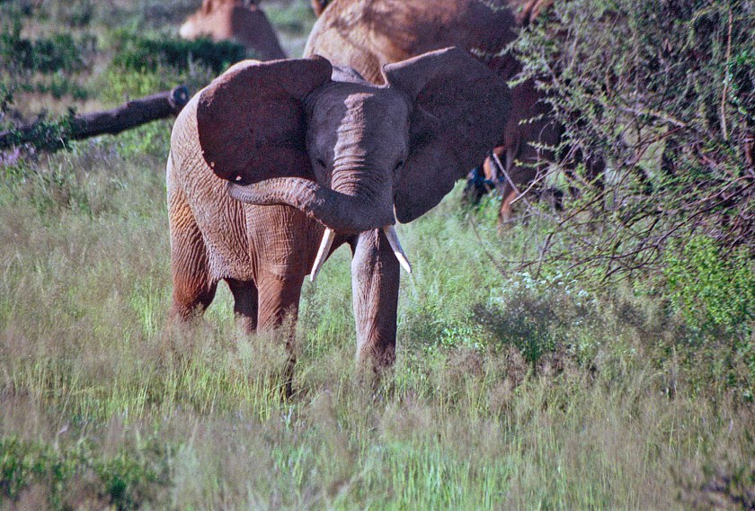 photograph by Cheryl Merrill