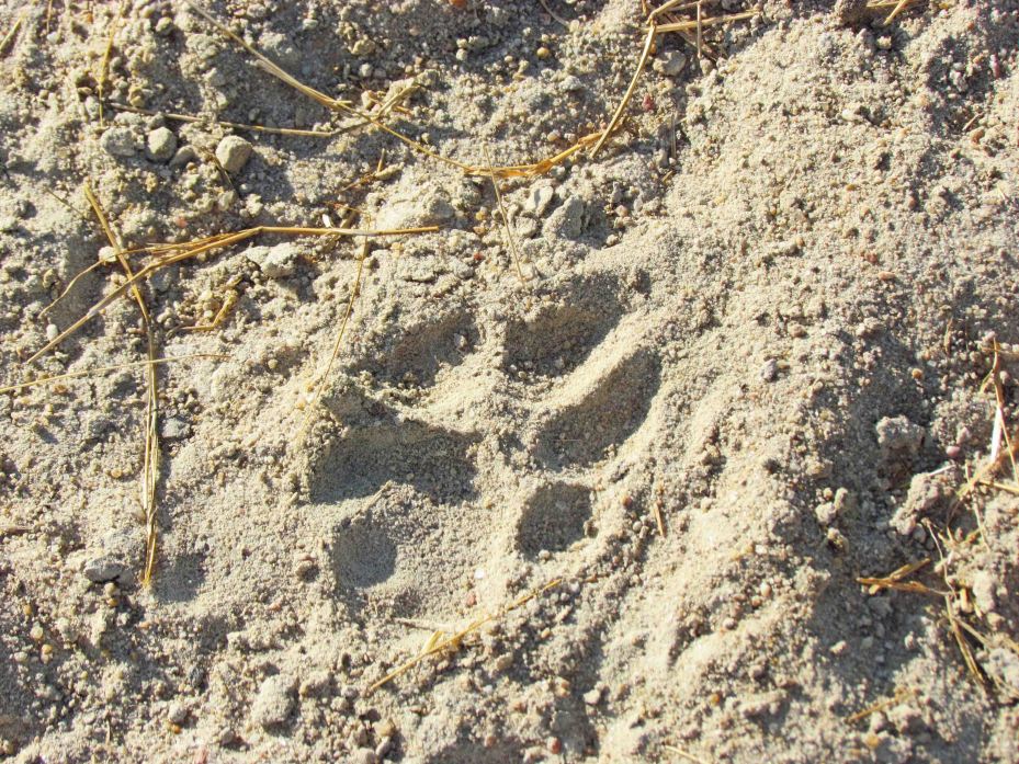 photograph by Cheryl Merrill