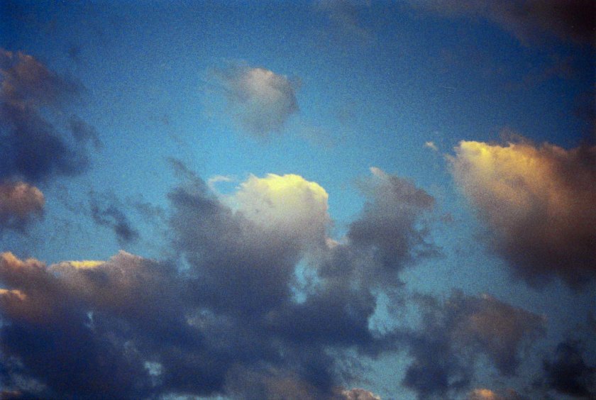 photograph by Cheryl Merrill